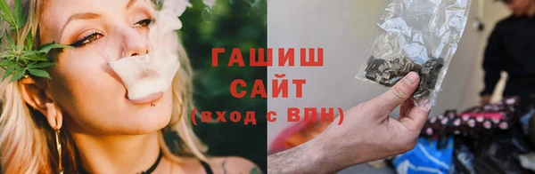 сатива Зеленокумск