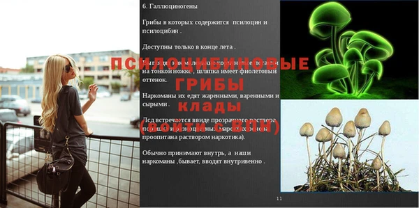 mdma Зерноград