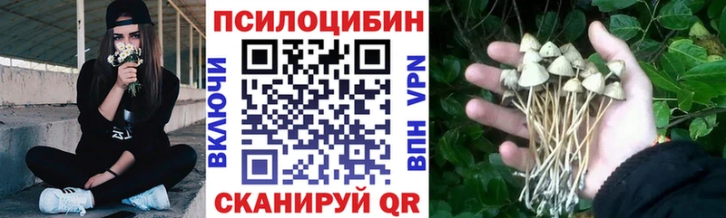 Псилоцибиновые грибы Psilocybine cubensis  Харовск 